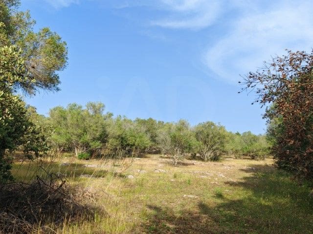 Terreno Não Urbanizado para venda em Costitx - 165 000 € (Ref: 9991019)