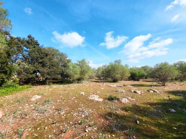 Terreno/Finca Rústica en Costitx en venta - 165.000 € (Ref: 9991019)