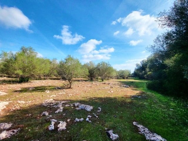 Terreno Não Urbanizado para venda em Costitx - 165 000 € (Ref: 9991019)