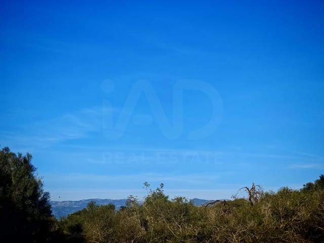 Terreno/Finca Rústica en Costitx en venta - 165.000 € (Ref: 9991019)