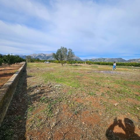 Terreno Non Edificato in vendita in Alicante città - 19.000 € (Rif: 9991026)
