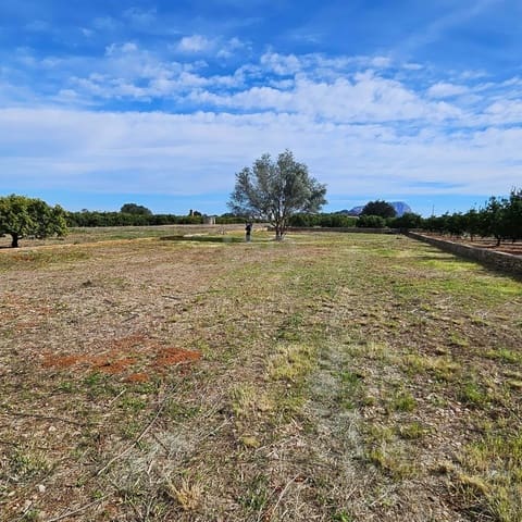 Terreno Non Edificato in vendita in Alicante città - 19.000 € (Rif: 9991026)