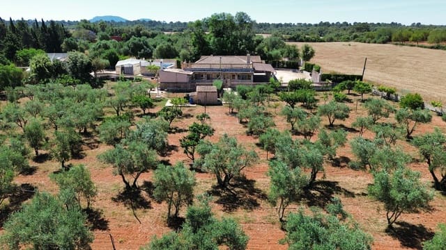 5 sovrum Finca/Hus på landet till salu i Santa Eugènia med pool garage - 895 000 € (Ref: 9991027)
