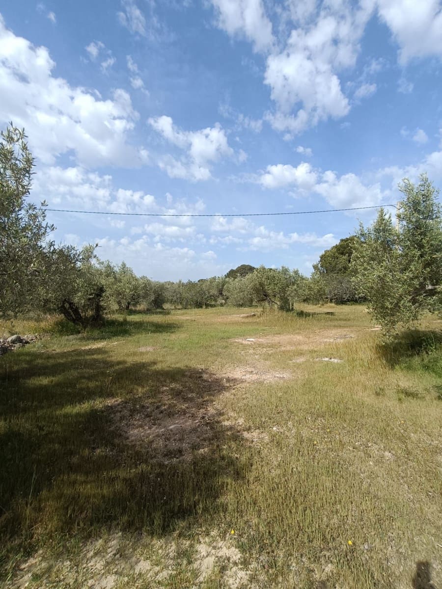 3 Zimmer Finca/Landgut zu verkaufen in L'Ametlla de Mar - 235.000 € (Ref: 9991038)