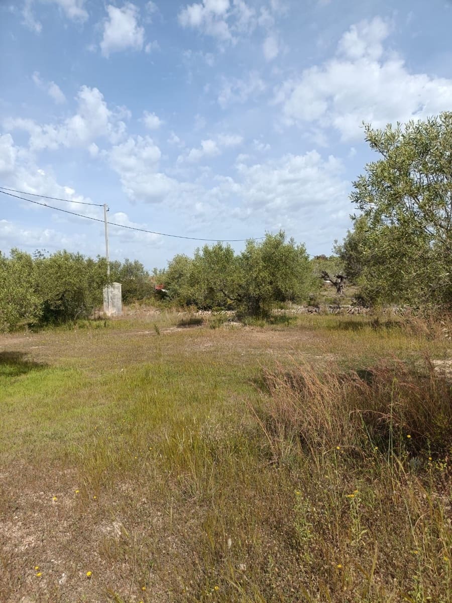 3 Zimmer Finca/Landgut zu verkaufen in L'Ametlla de Mar - 235.000 € (Ref: 9991038)