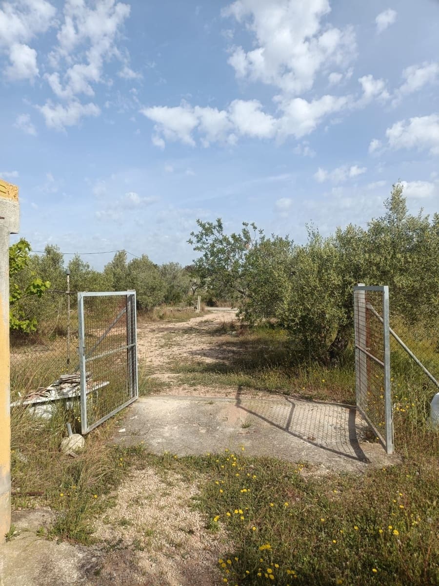 3 Zimmer Finca/Landgut zu verkaufen in L'Ametlla de Mar - 235.000 € (Ref: 9991038)