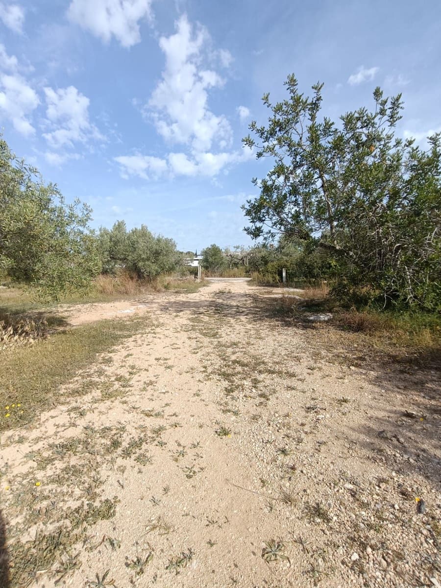 3 Zimmer Finca/Landgut zu verkaufen in L'Ametlla de Mar - 235.000 € (Ref: 9991038)