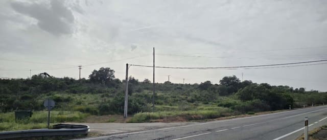 Mark till salu i Cáceres stad - 155 000 € (Ref: 9991058)