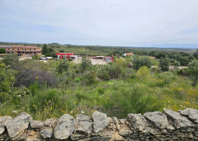 Mark till salu i Cáceres stad - 155 000 € (Ref: 9991058)