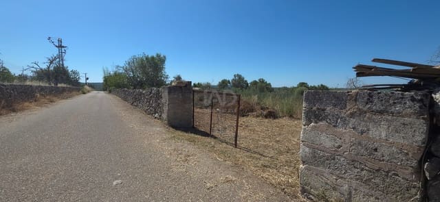 Ubebygd land til salgs i Santa Margalida - € 92 000 (Ref: 9991075)