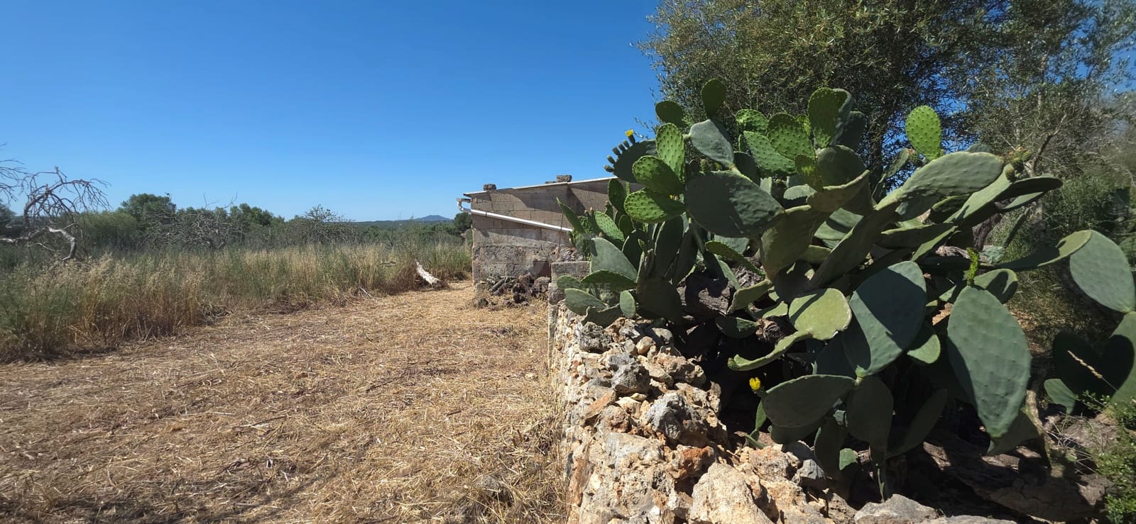 Grunde uden byggetilladelser til salg i Santa Margalida - € 92.000 (Ref: 9991075)