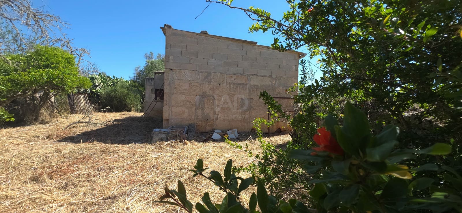 Grunde uden byggetilladelser til salg i Santa Margalida - € 92.000 (Ref: 9991075)