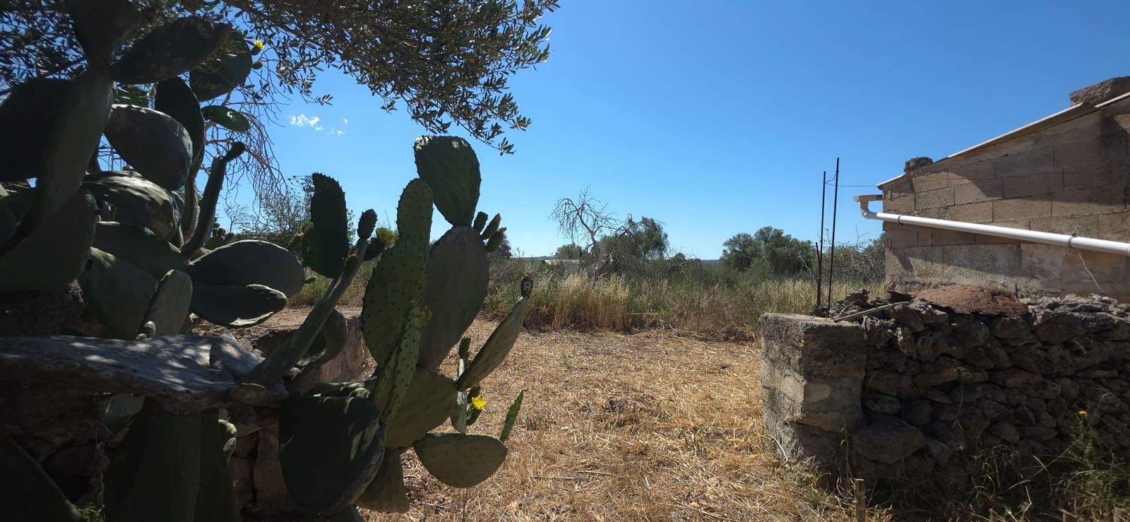 Grunde uden byggetilladelser til salg i Santa Margalida - € 92.000 (Ref: 9991075)