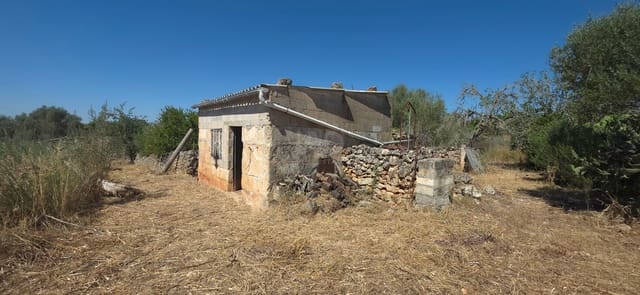 Ubebygd land til salgs i Santa Margalida - € 92 000 (Ref: 9991075)