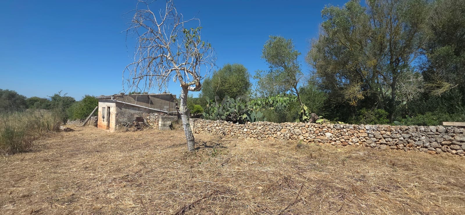 Grunde uden byggetilladelser til salg i Santa Margalida - € 92.000 (Ref: 9991075)