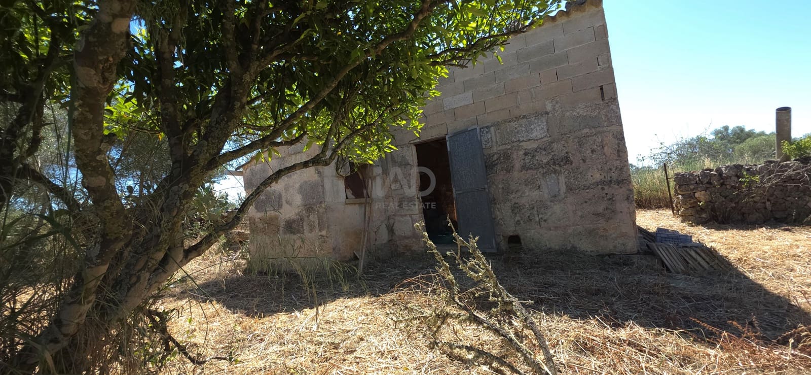 Grunde uden byggetilladelser til salg i Santa Margalida - € 92.000 (Ref: 9991075)
