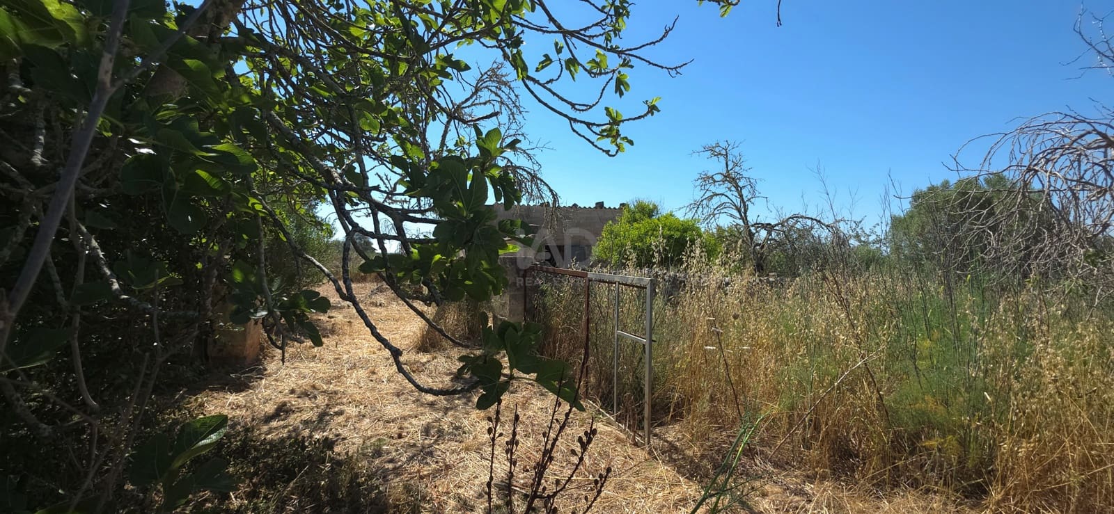 Grunde uden byggetilladelser til salg i Santa Margalida - € 92.000 (Ref: 9991075)