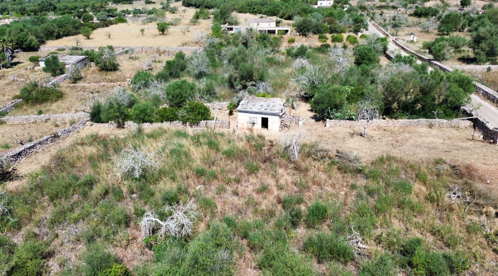 Grunde uden byggetilladelser til salg i Santa Margalida - € 92.000 (Ref: 9991075)