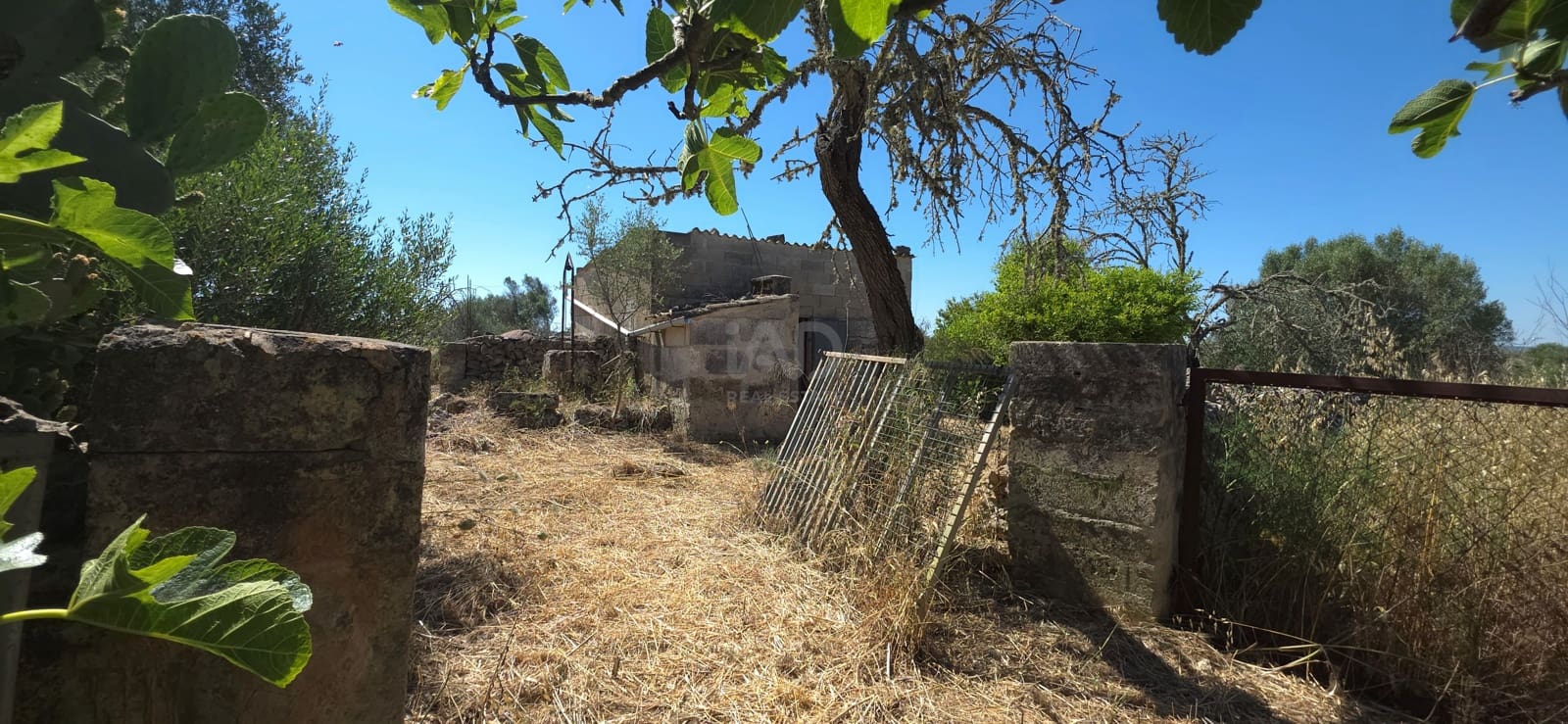Grunde uden byggetilladelser til salg i Santa Margalida - € 92.000 (Ref: 9991075)