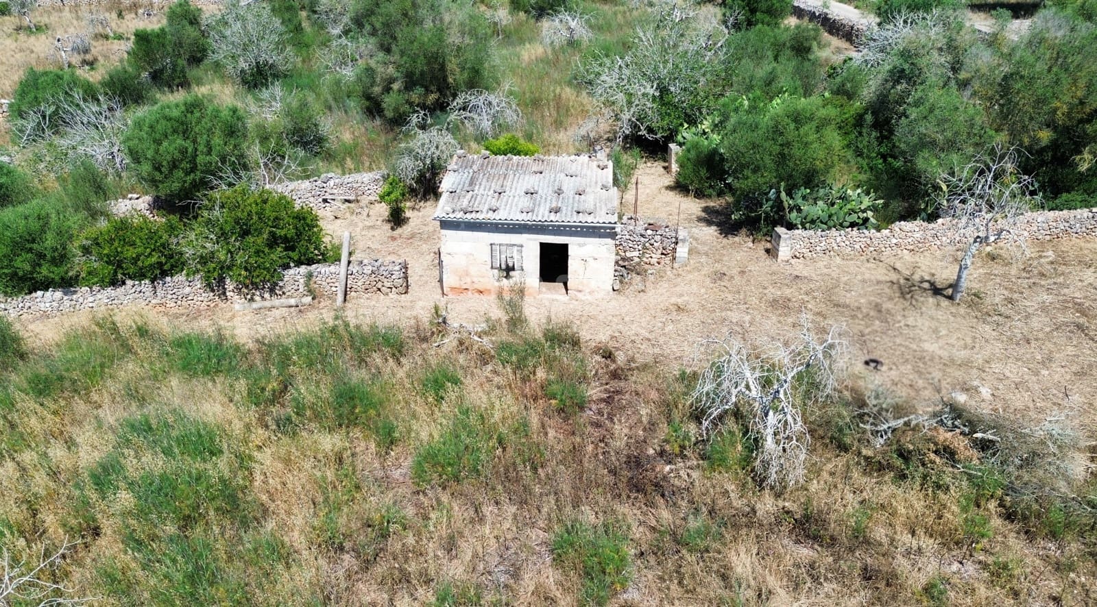 Grunde uden byggetilladelser til salg i Santa Margalida - € 92.000 (Ref: 9991075)