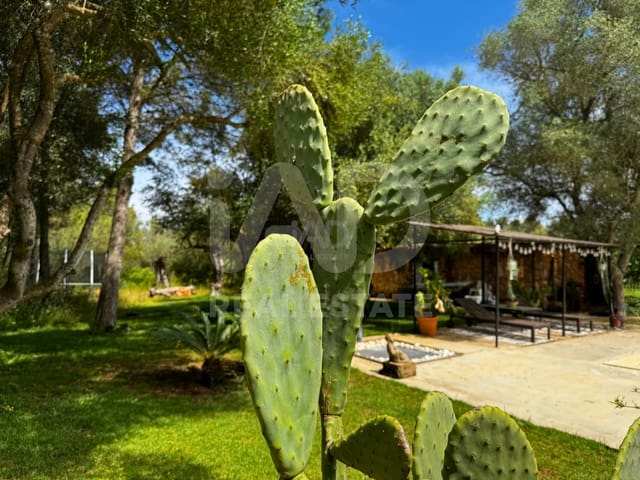 4 bedroom Villa for sale in Santa Eugènia with pool - € 1,599,000 (Ref: 9991078)