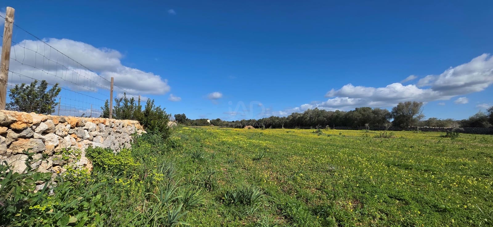 Grunde uden byggetilladelser til salg i Santa Margalida - € 298.000 (Ref: 9991082)