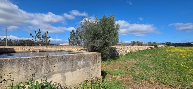 Grunde uden byggetilladelser til salg i Santa Margalida - € 298.000 (Ref: 9991082)
