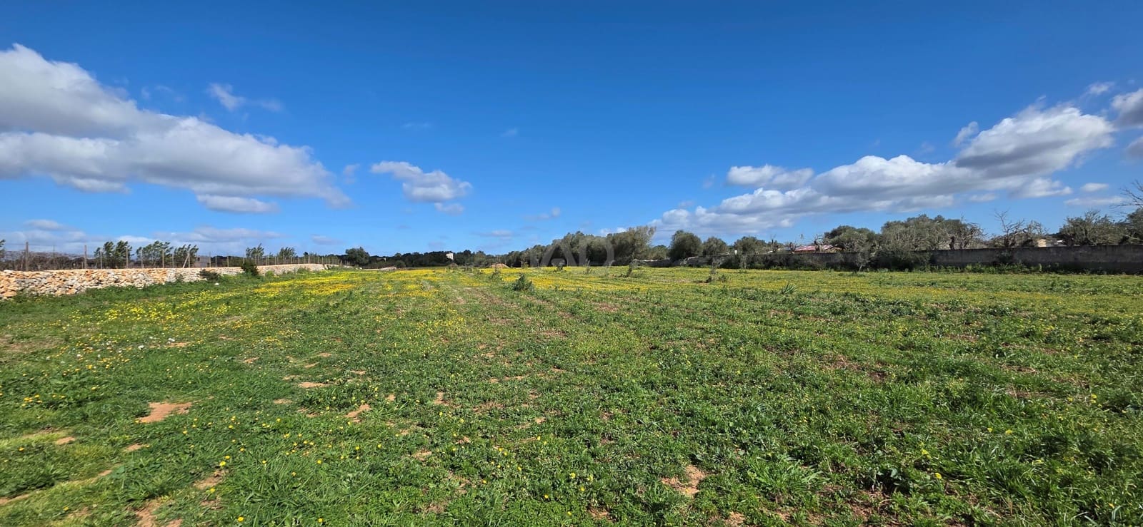Grunde uden byggetilladelser til salg i Santa Margalida - € 298.000 (Ref: 9991082)