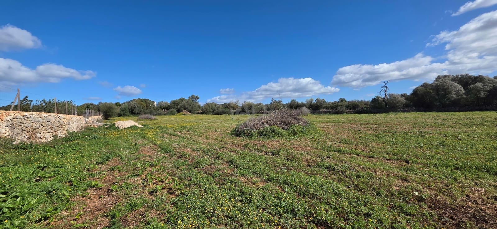 Grunde uden byggetilladelser til salg i Santa Margalida - € 298.000 (Ref: 9991082)