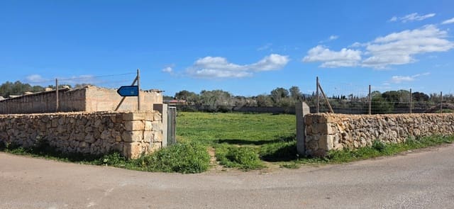 Grunde uden byggetilladelser til salg i Santa Margalida - € 298.000 (Ref: 9991082)