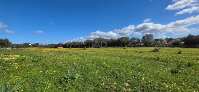 Grunde uden byggetilladelser til salg i Santa Margalida - € 298.000 (Ref: 9991082)