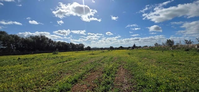 Grunde uden byggetilladelser til salg i Santa Margalida - € 298.000 (Ref: 9991082)