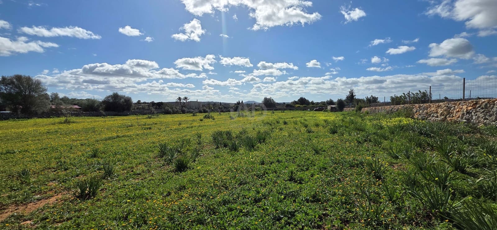Grunde uden byggetilladelser til salg i Santa Margalida - € 298.000 (Ref: 9991082)