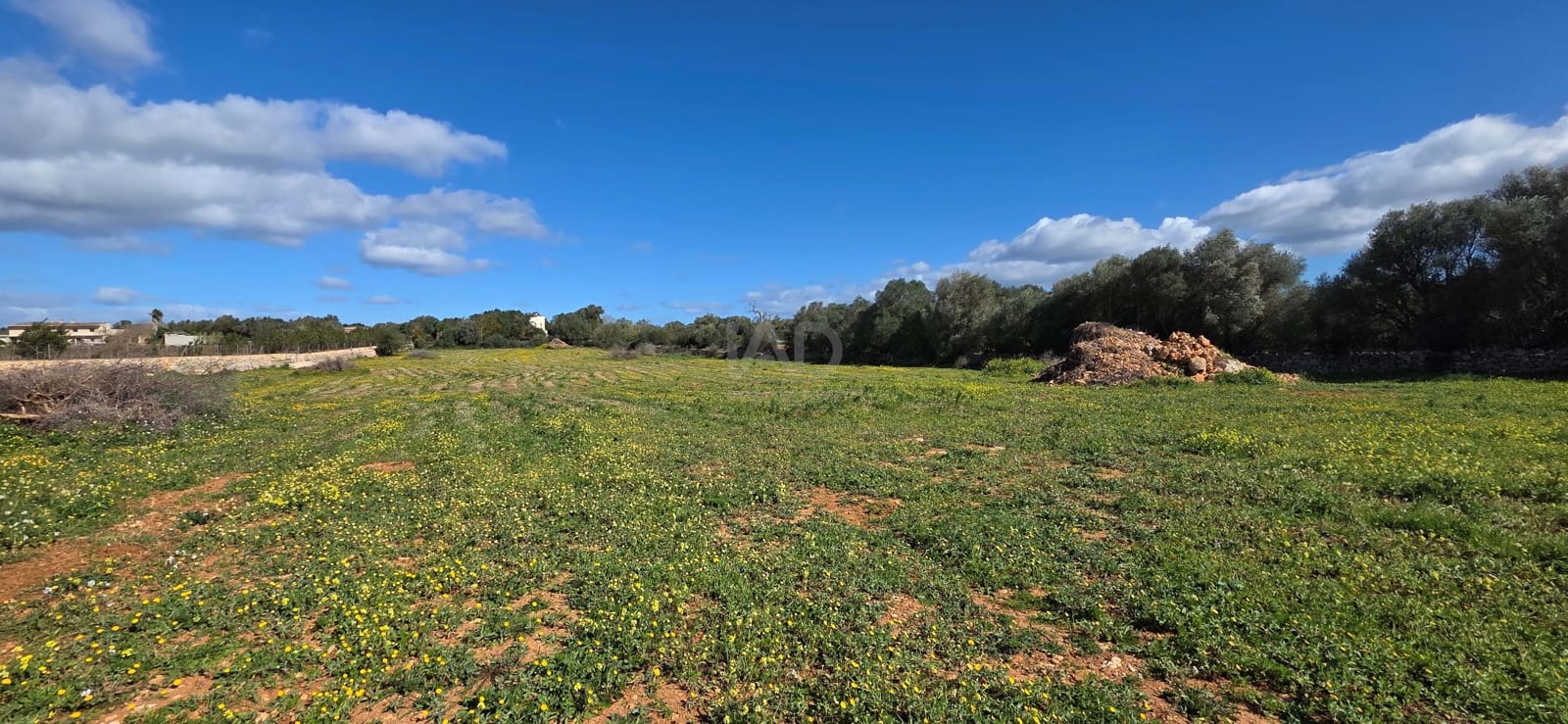 Grunde uden byggetilladelser til salg i Santa Margalida - € 298.000 (Ref: 9991082)