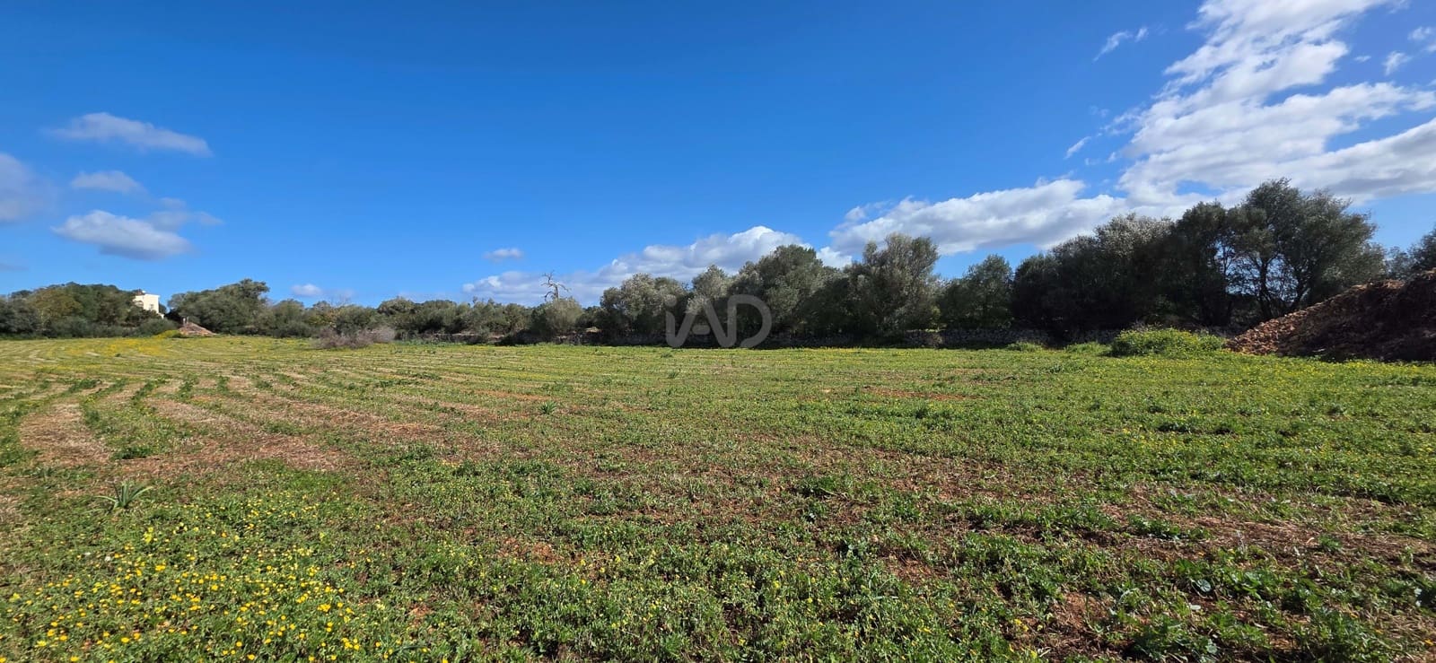 Grunde uden byggetilladelser til salg i Santa Margalida - € 298.000 (Ref: 9991082)