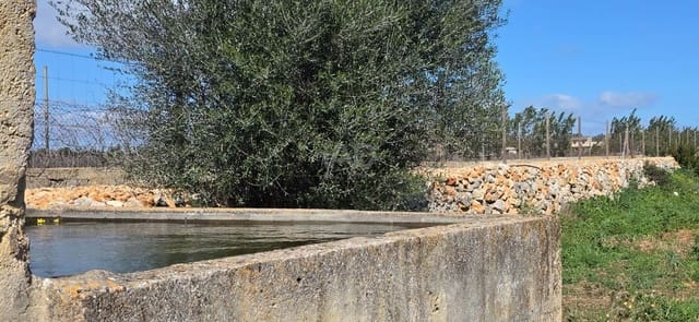 Grunde uden byggetilladelser til salg i Santa Margalida - € 298.000 (Ref: 9991082)