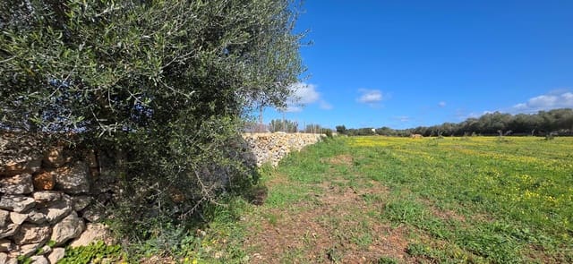 Grunde uden byggetilladelser til salg i Santa Margalida - € 298.000 (Ref: 9991082)
