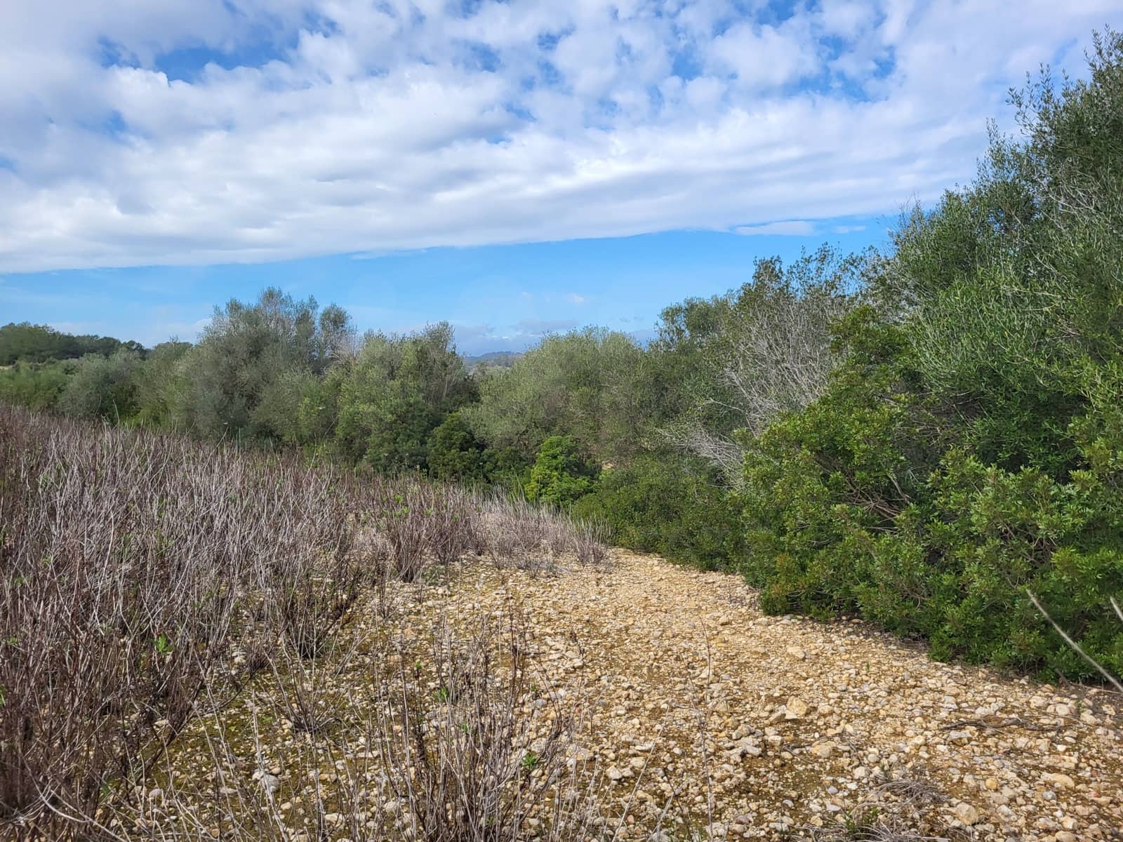 Mark till salu i Sant Joan - 49 900 € (Ref: 9991084)