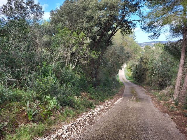 Mark till salu i Sant Joan - 49 900 € (Ref: 9991084)