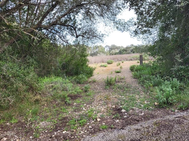 Mark till salu i Sant Joan - 49 900 € (Ref: 9991084)