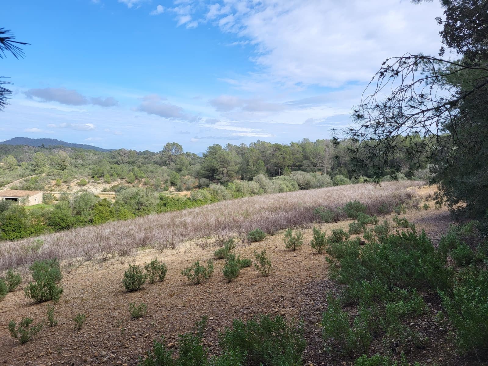 Mark till salu i Sant Joan - 49 900 € (Ref: 9991084)