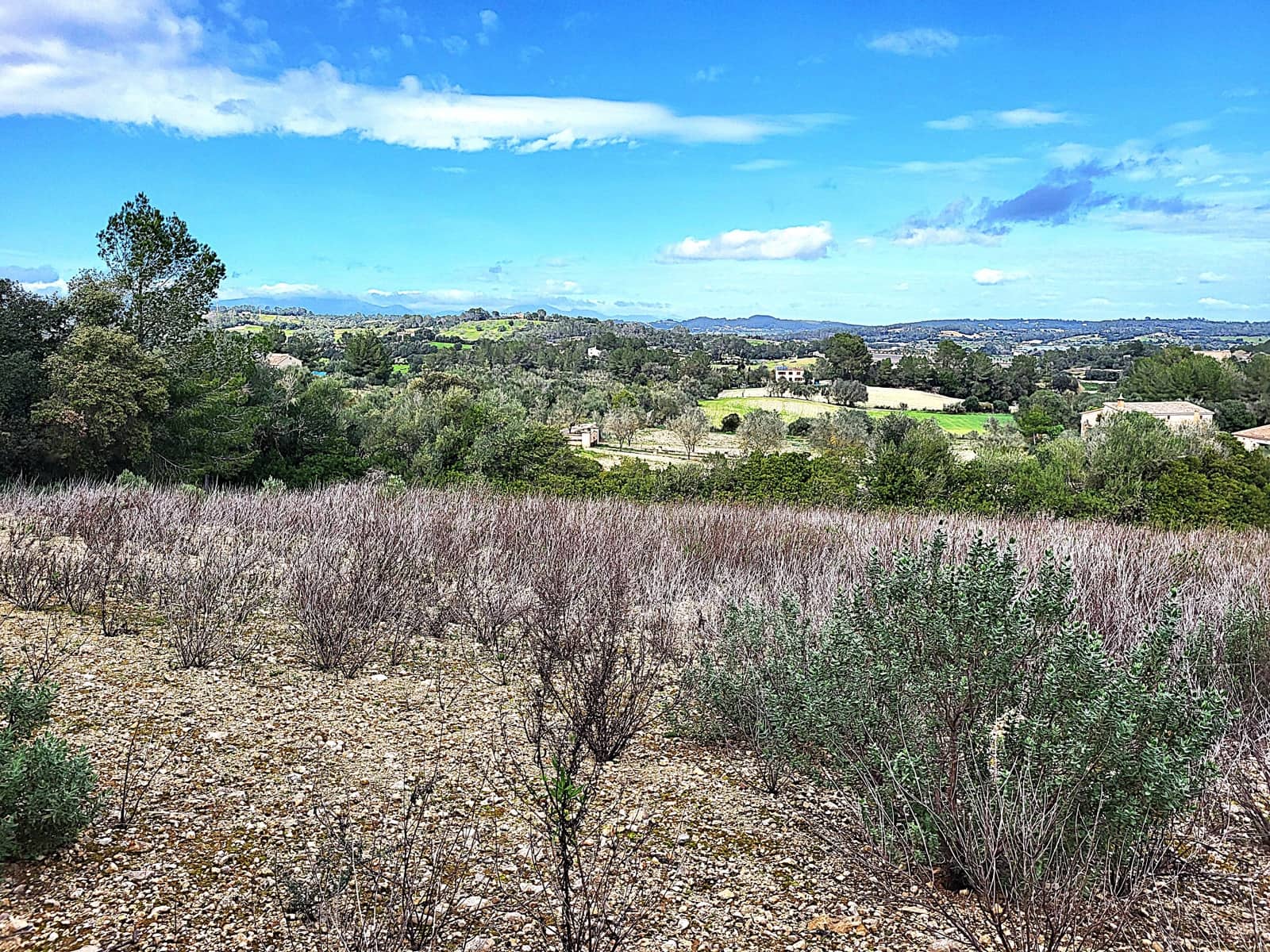Mark till salu i Sant Joan - 49 900 € (Ref: 9991084)