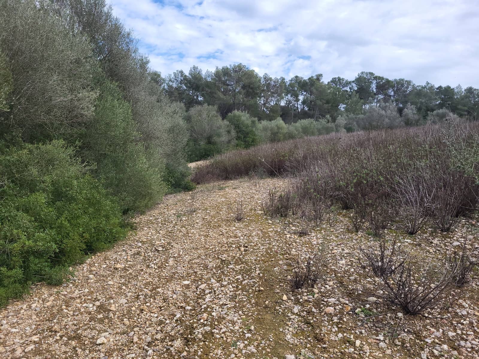 Mark till salu i Sant Joan - 49 900 € (Ref: 9991084)