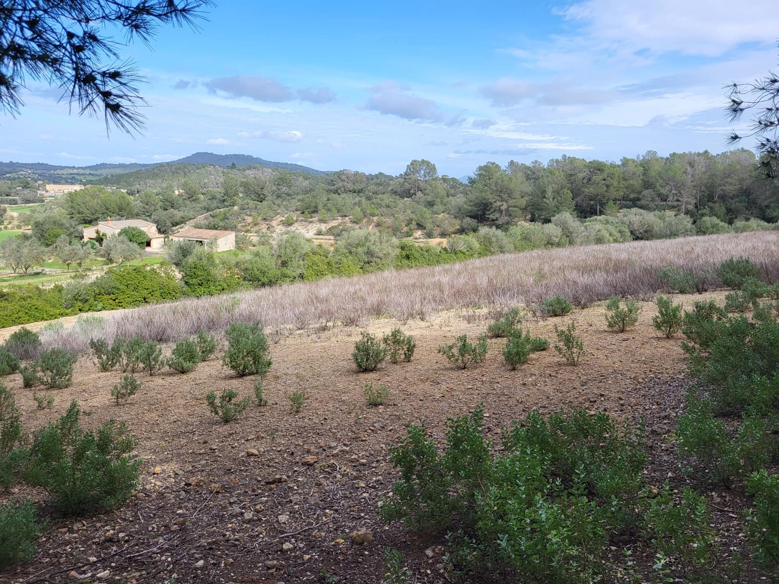 Mark till salu i Sant Joan - 49 900 € (Ref: 9991084)