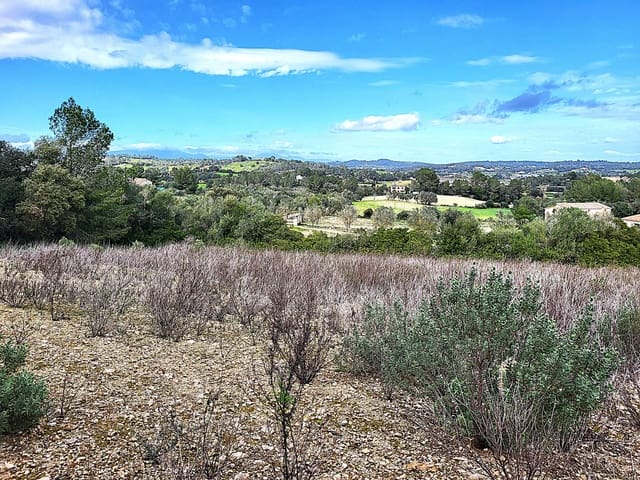 Mark till salu i Sant Joan - 49 900 € (Ref: 9991084)