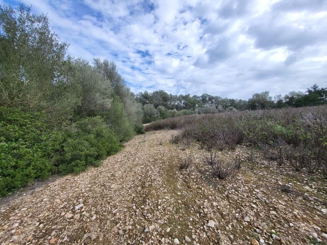 Mark till salu i Sant Joan - 49 900 € (Ref: 9991084)