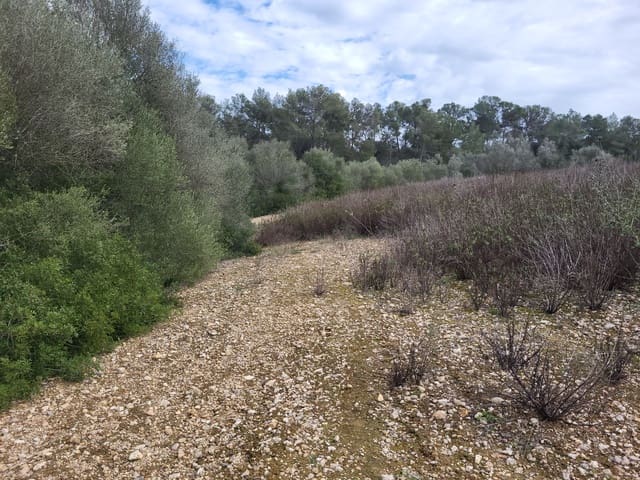 Mark till salu i Sant Joan - 49 900 € (Ref: 9991084)