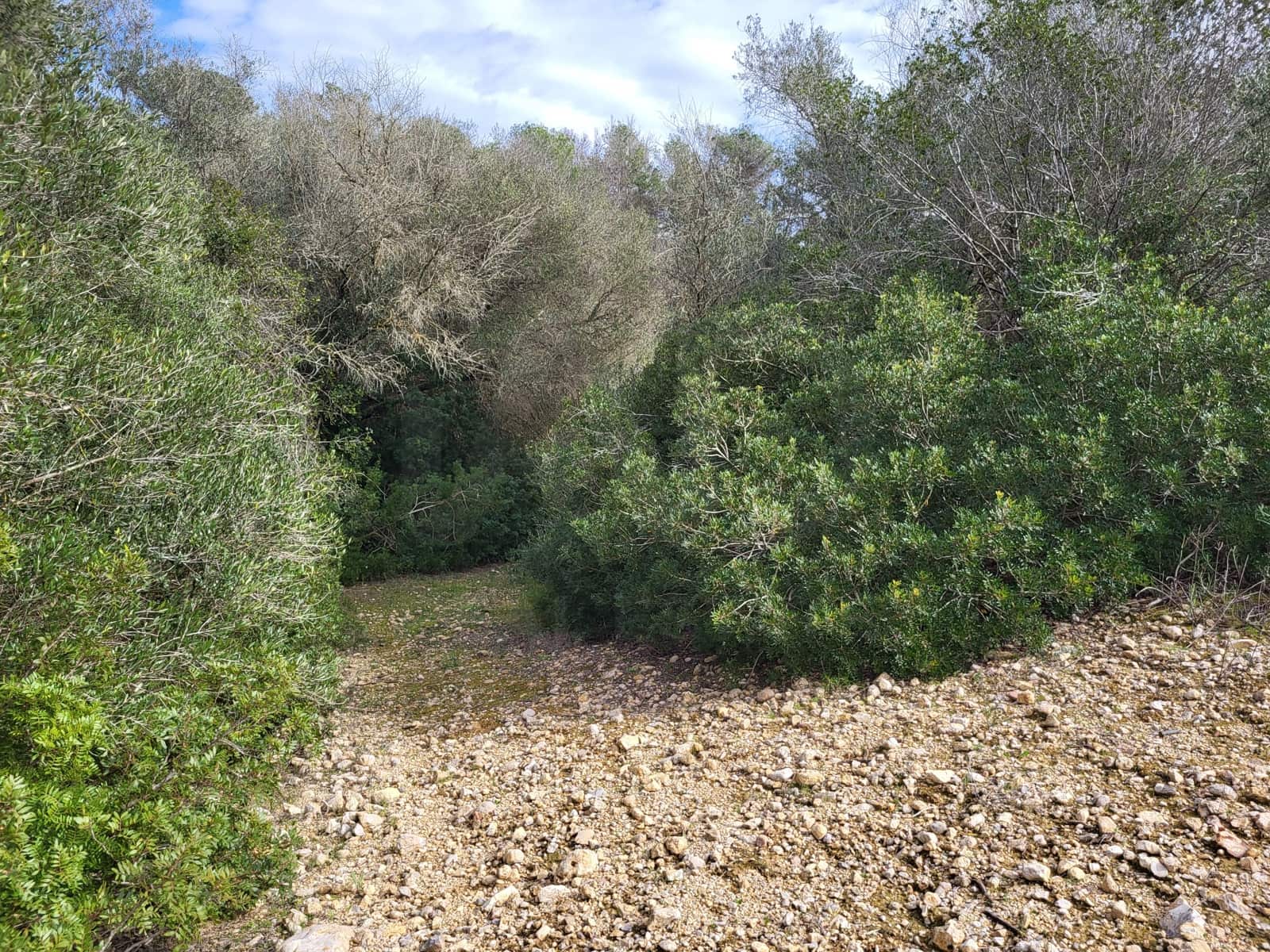 Mark till salu i Sant Joan - 49 900 € (Ref: 9991084)