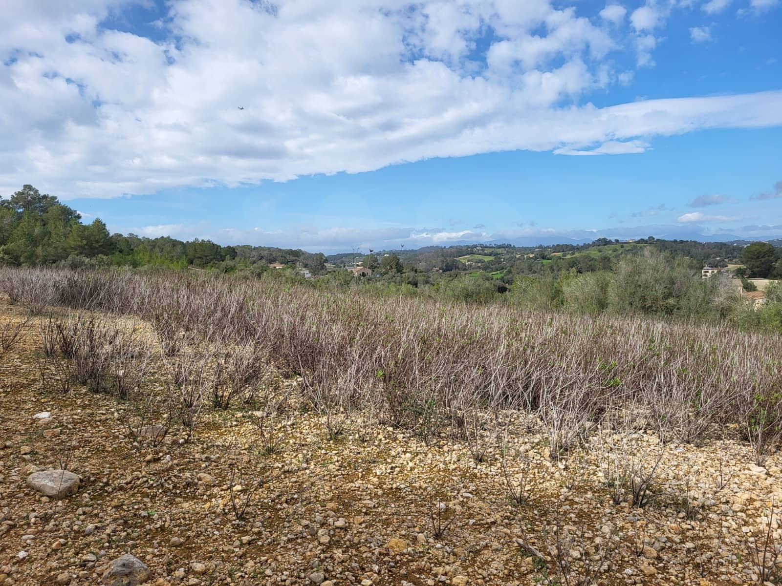 Mark till salu i Sant Joan - 49 900 € (Ref: 9991084)