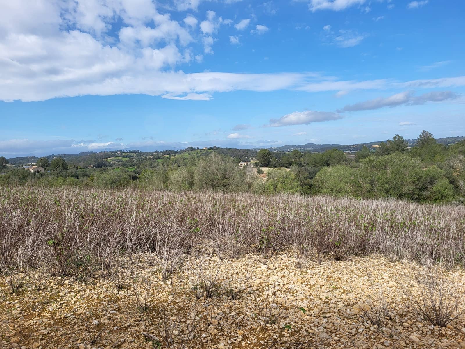 Mark till salu i Sant Joan - 49 900 € (Ref: 9991084)